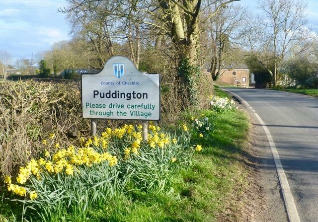 Puddington Village.JPEG
