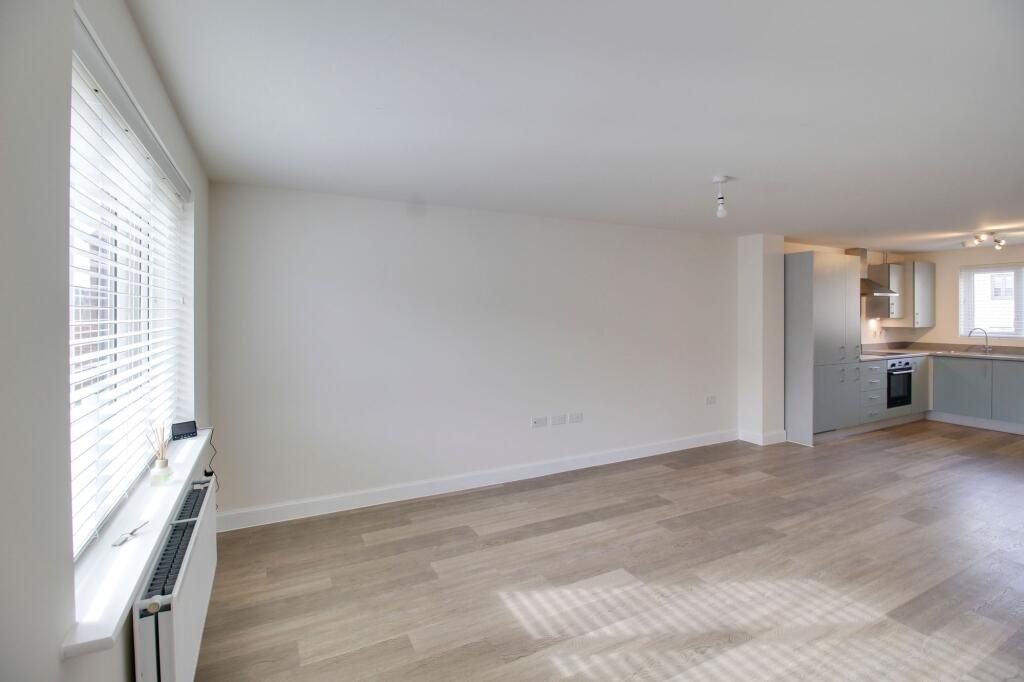 Kitchen / Dining / Living Area