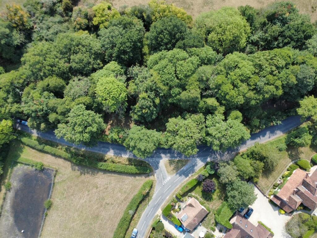 Front elevated view over wooded area 1.jpg