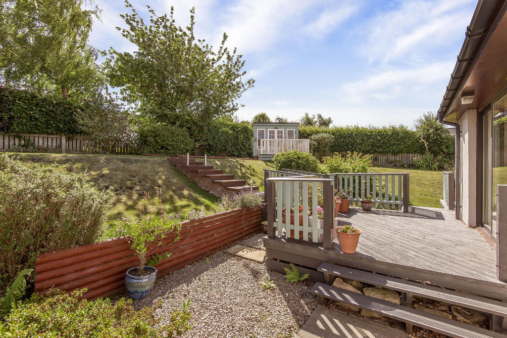 Back Garden