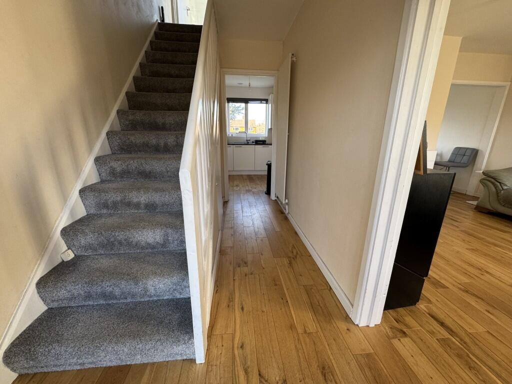 Image00009  Medium  T202503031723.jpeg