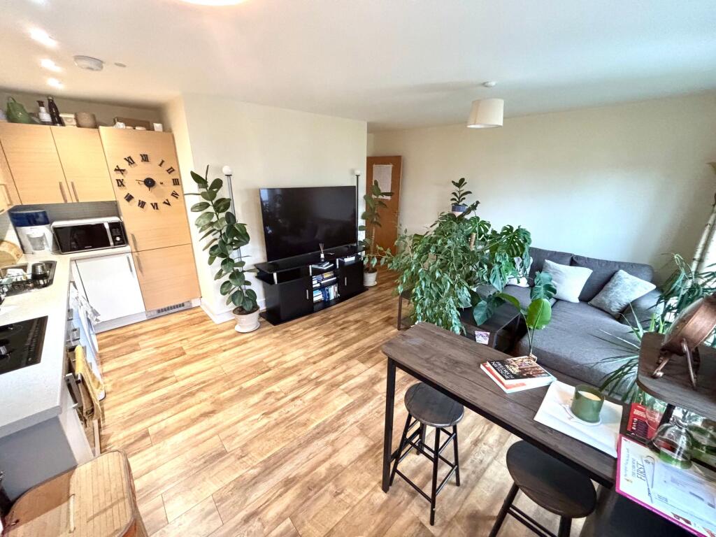 Open Plan Living Room &amp; Kitchen