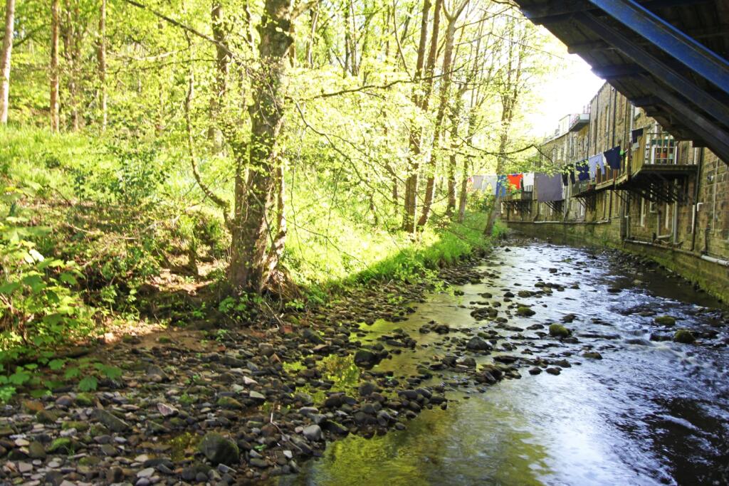 View from Living Room