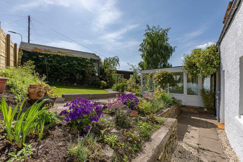 Summer Garden