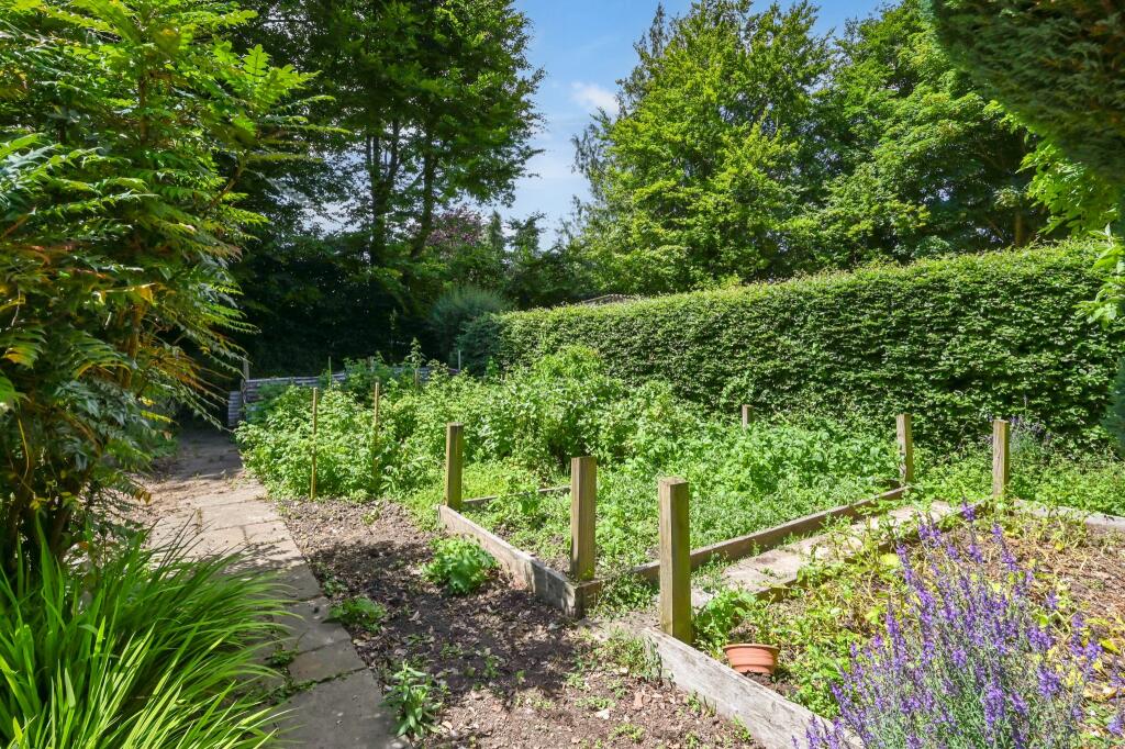 Vegetable Garden