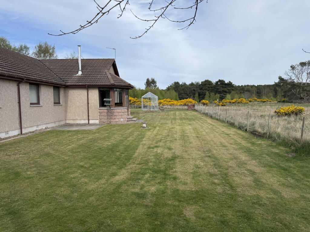 garden rear.JPG