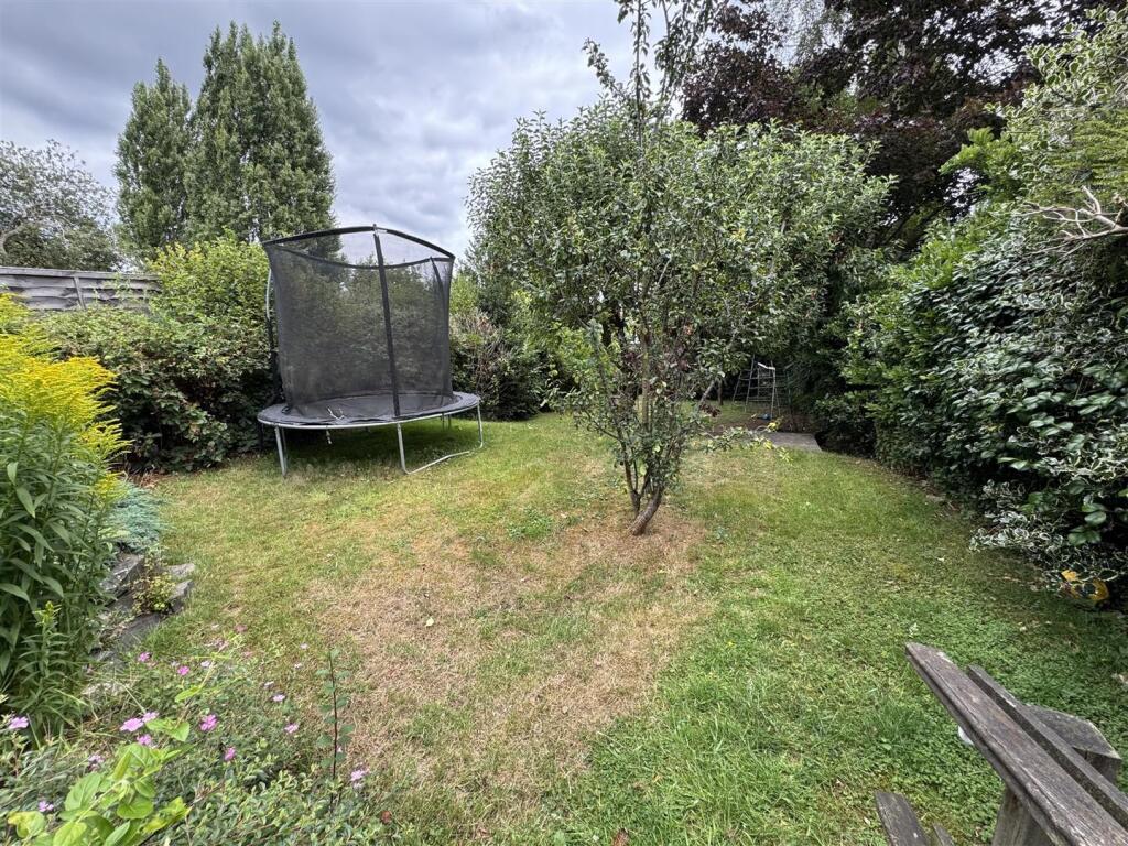 IMG_9604 (Large).JPG