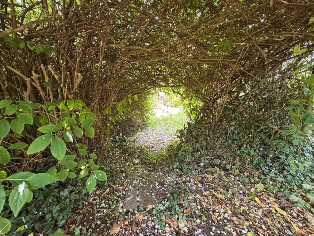Garden 7.jpg