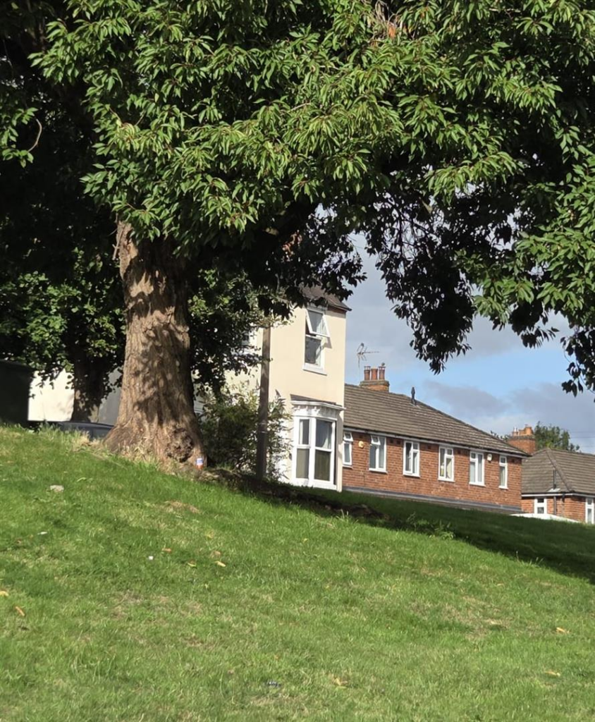 IMG-20250805-WA0010 (1).png