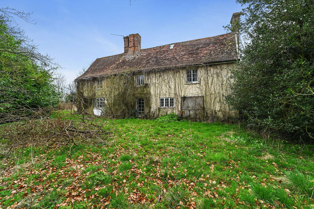 PT-DB(WP)-OakTree...