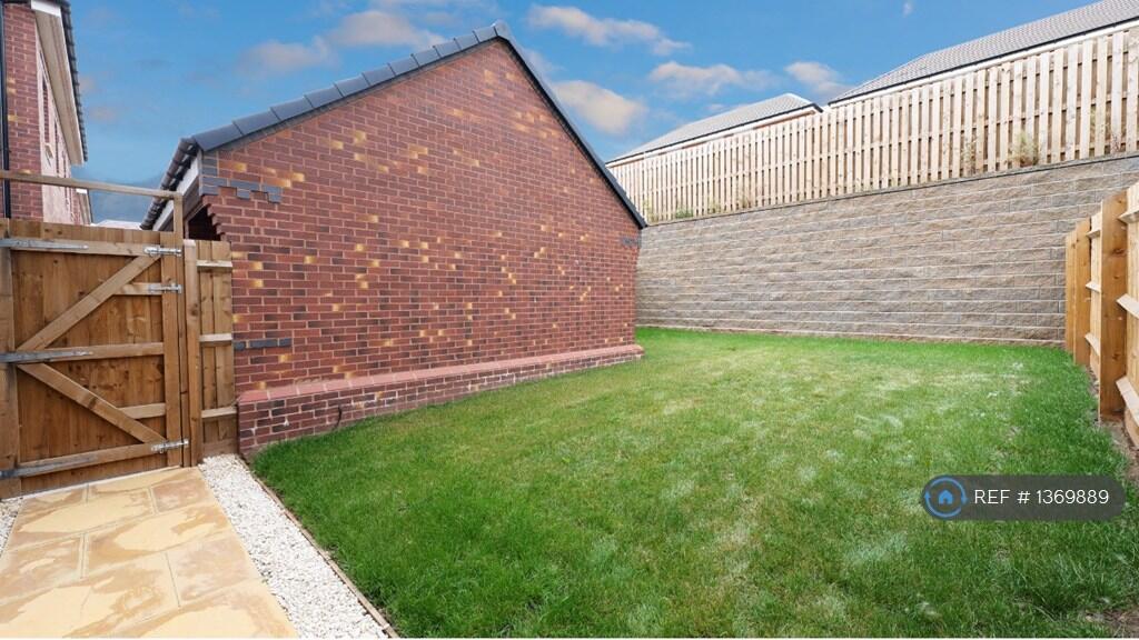 Back Garden