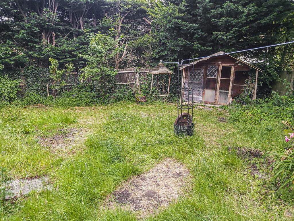 Garden .jpg