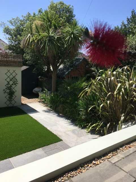 Garden in summer
