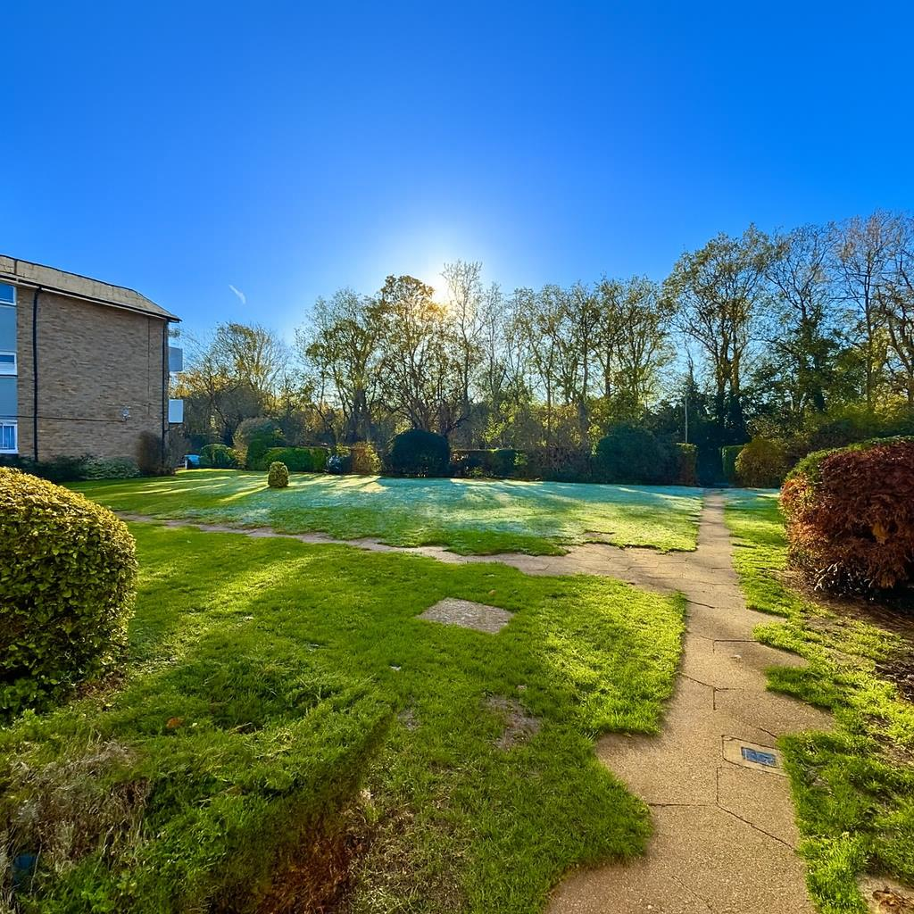 ChatGPT Image Nov 27, 2025, 12_44_51 PM.png