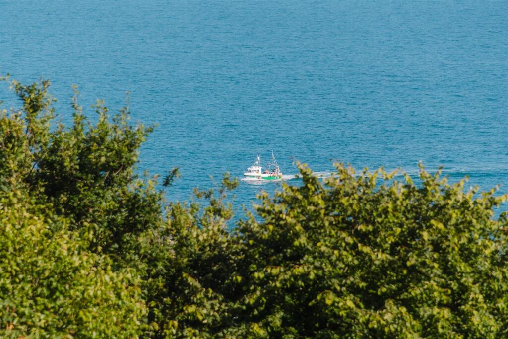 DSC_5610.jpg