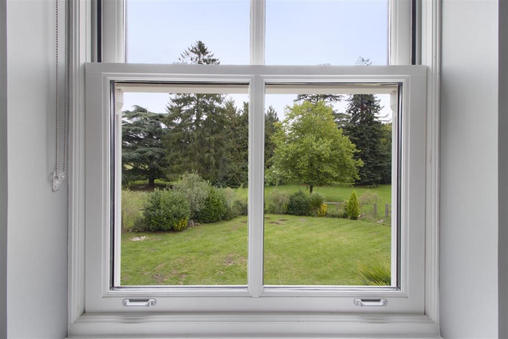 Framed View.jpg