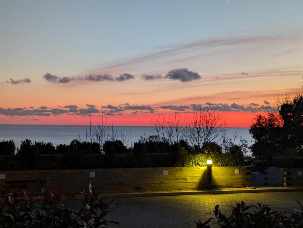 View.jpg