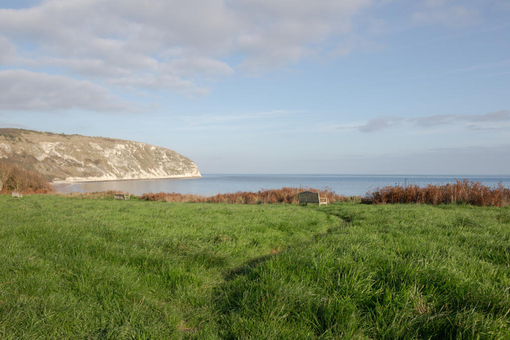 243573 - Swanage - The Modern House-45.jpg