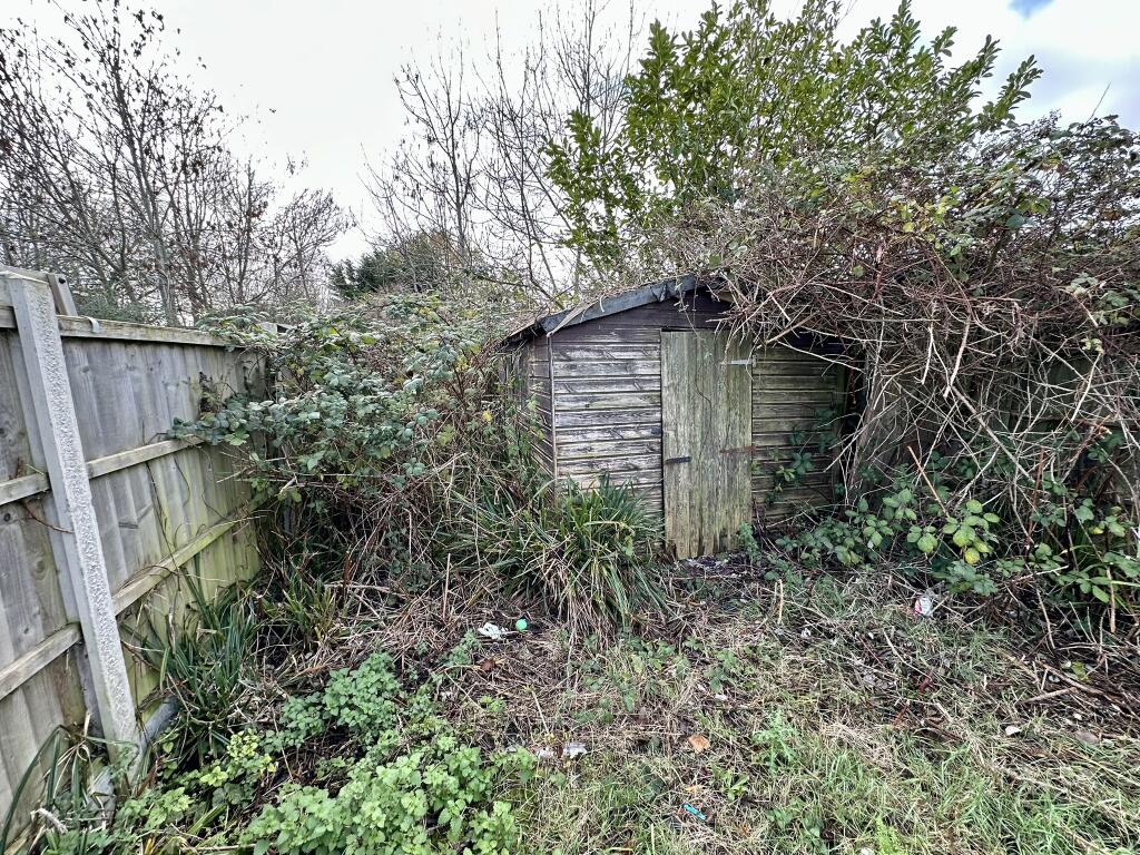 IMG 4348 T202511291245.jpeg