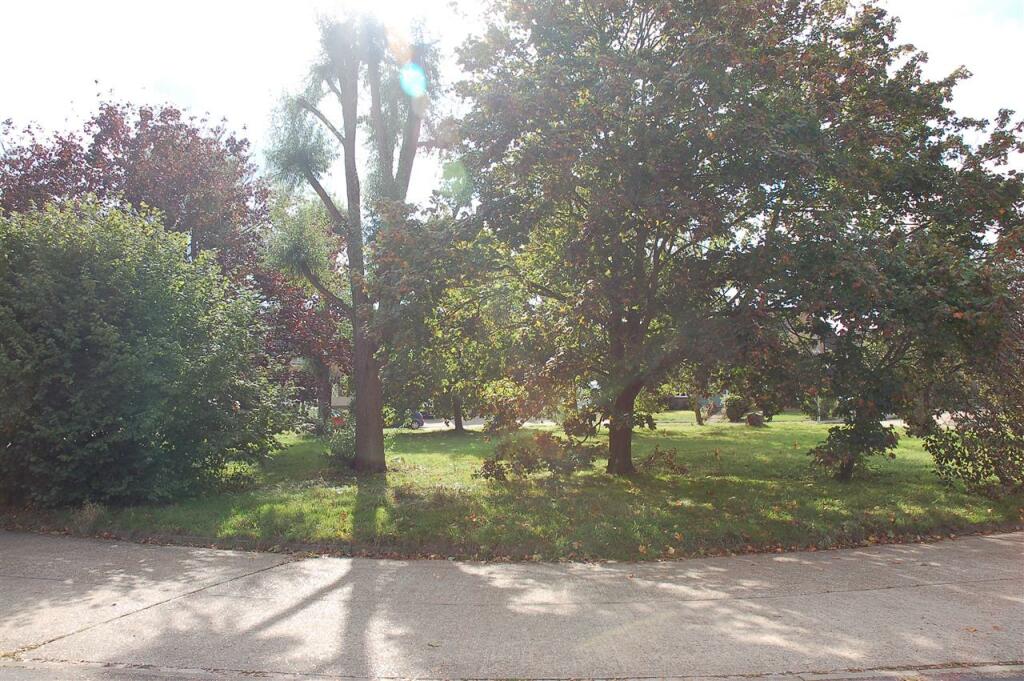 VIEW TO THE FRONT