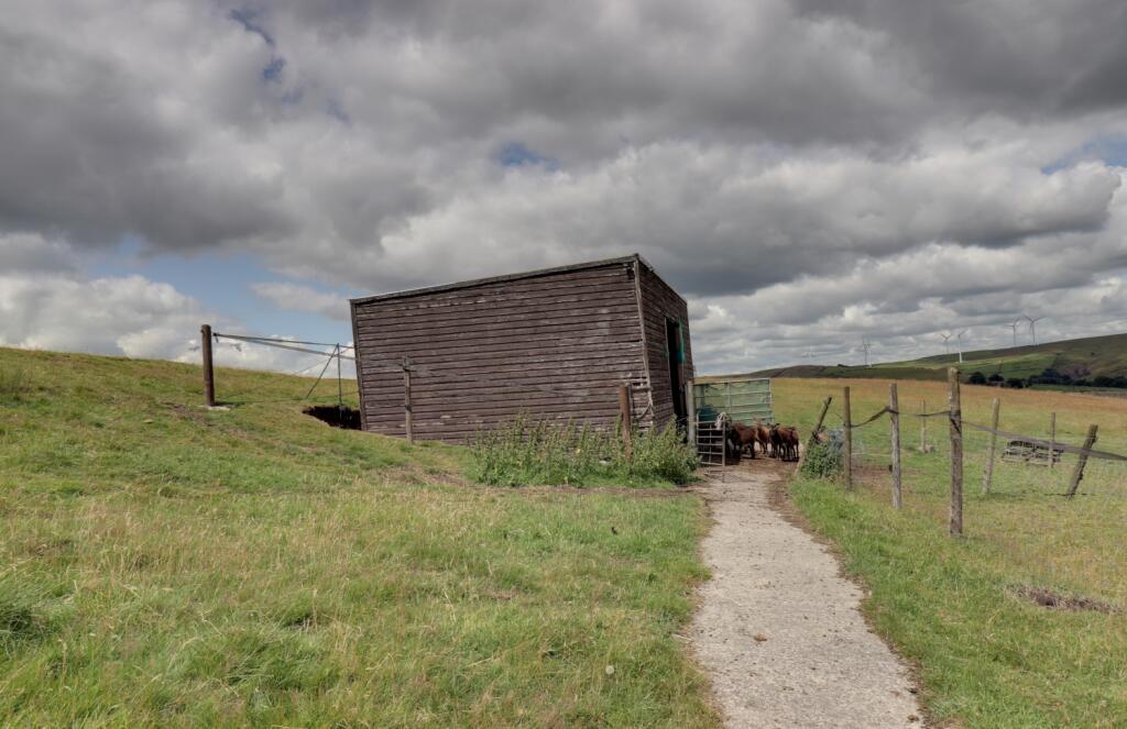 Lambing shed