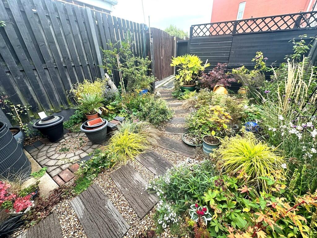 WhatsApp Image 20...