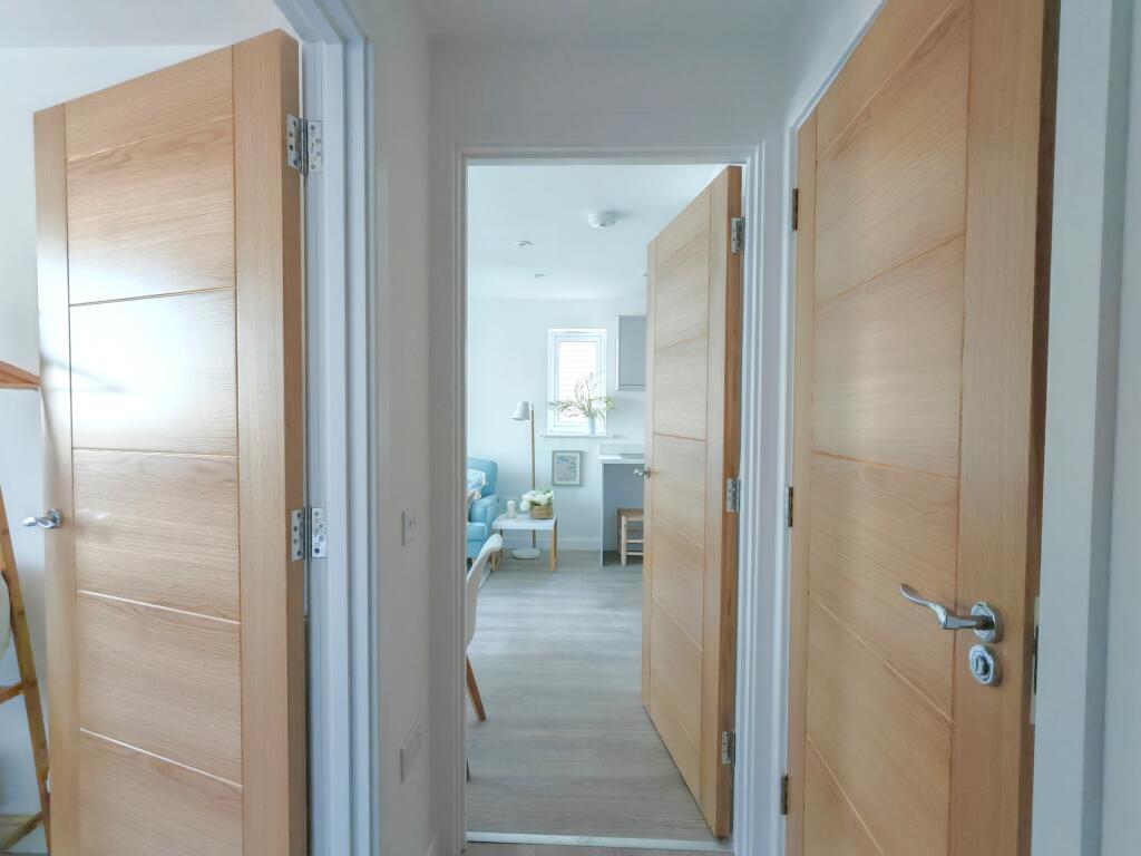 IMG_20241129_134550_edit_90669155927547