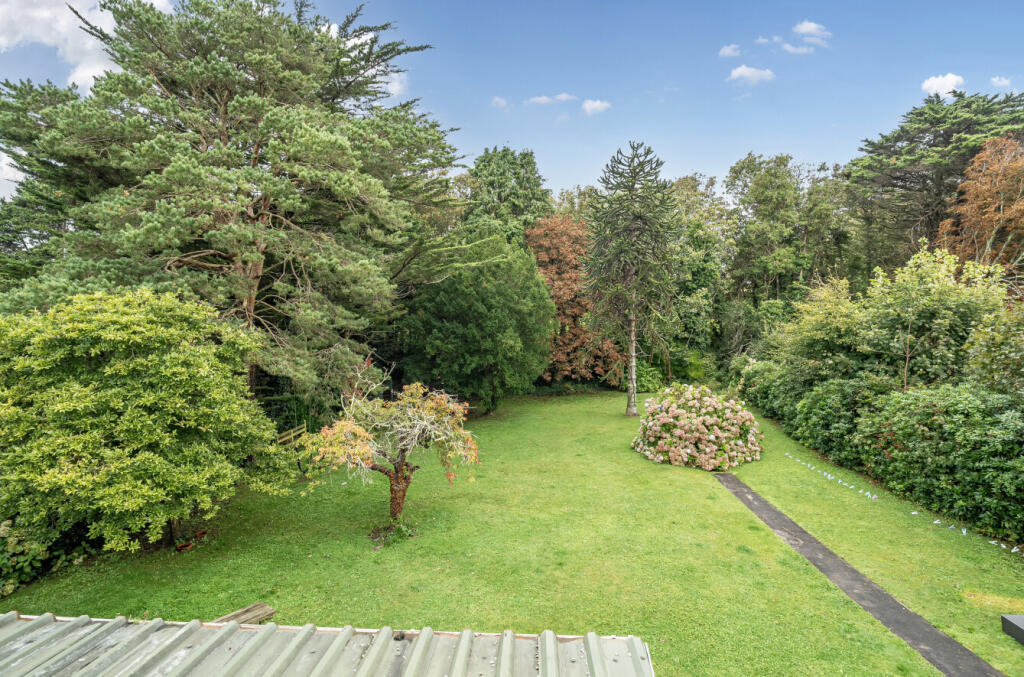 1354934-17-68cbfc...