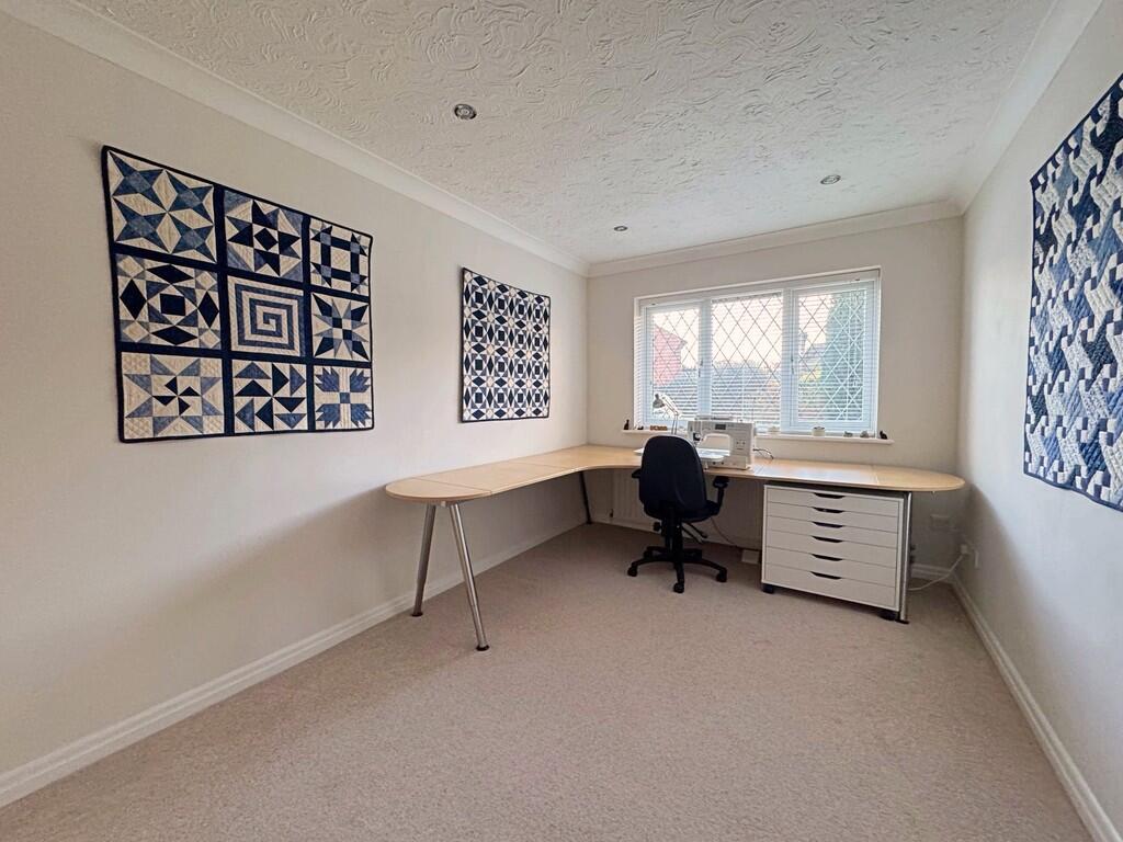 Hobby or Family R...