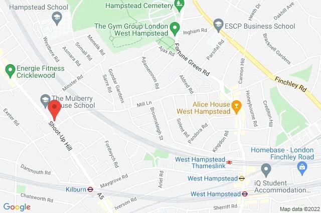 Google Maps Image