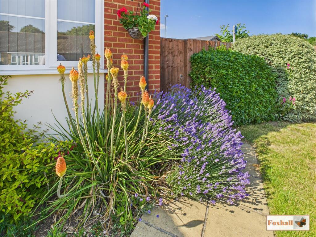 Front Garden