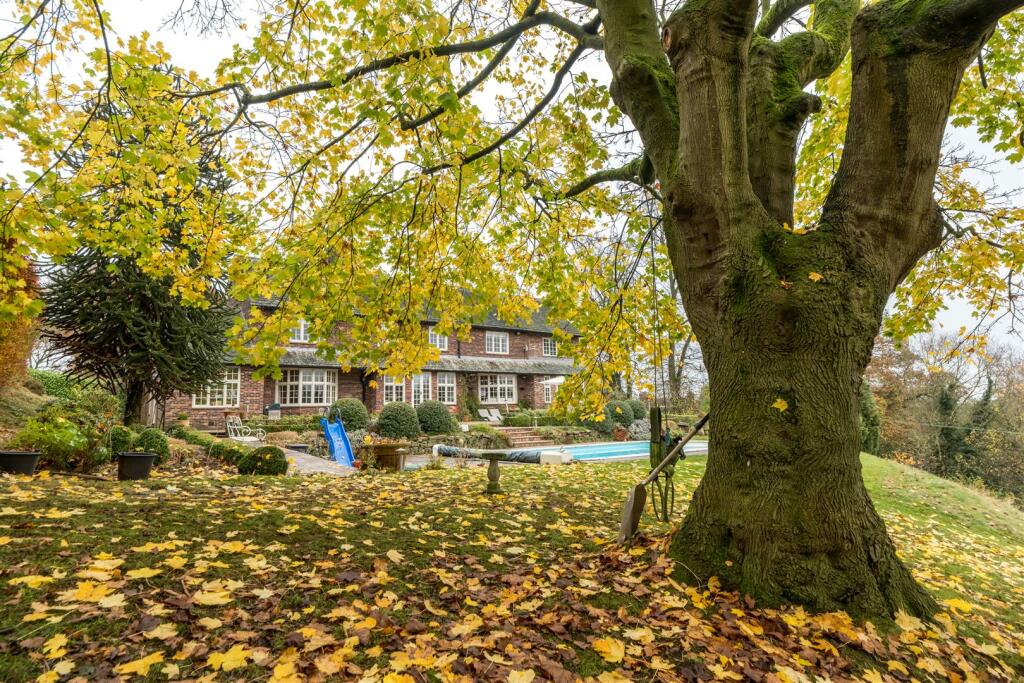 Summerhill-094.jpg