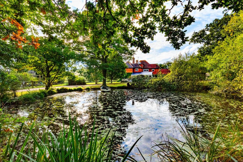 Pond View
