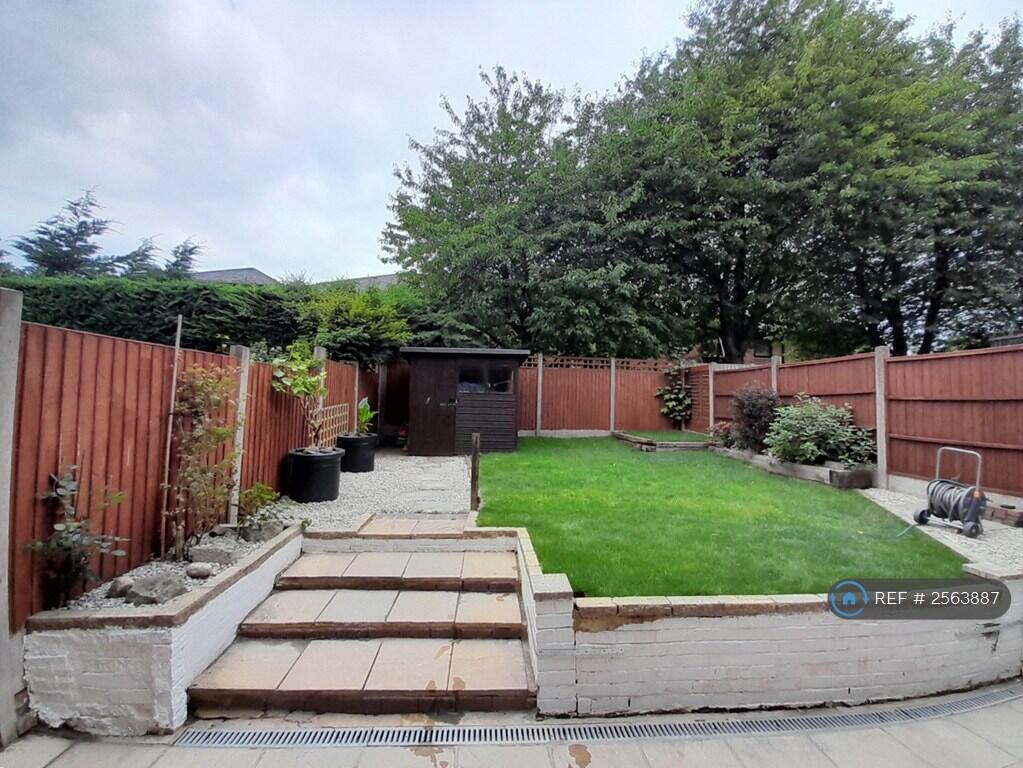Back Garden 
