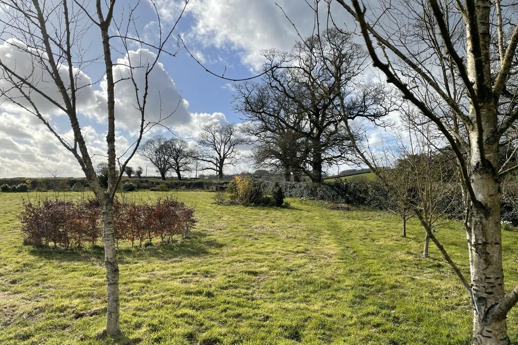Meadow/orchard