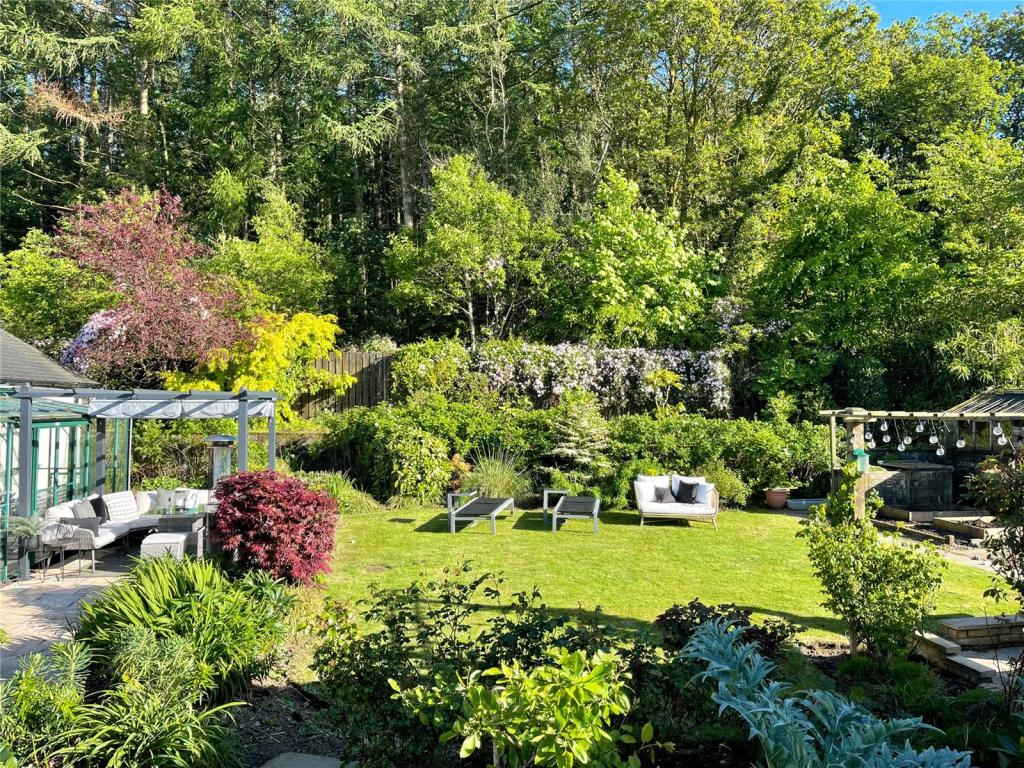 Garden in Summer