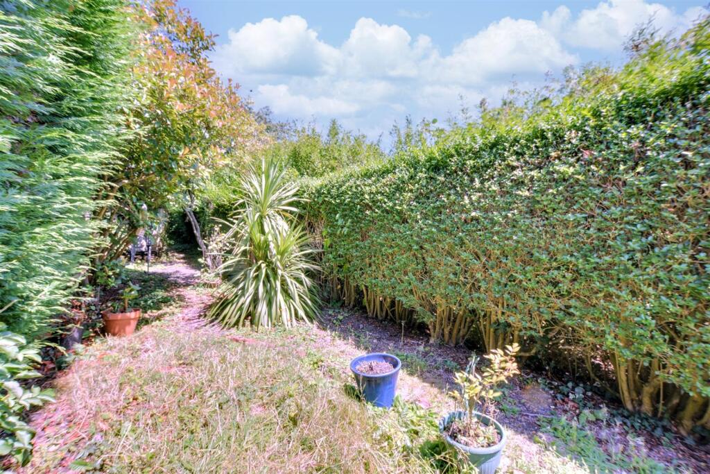 Garden_2.jpeg