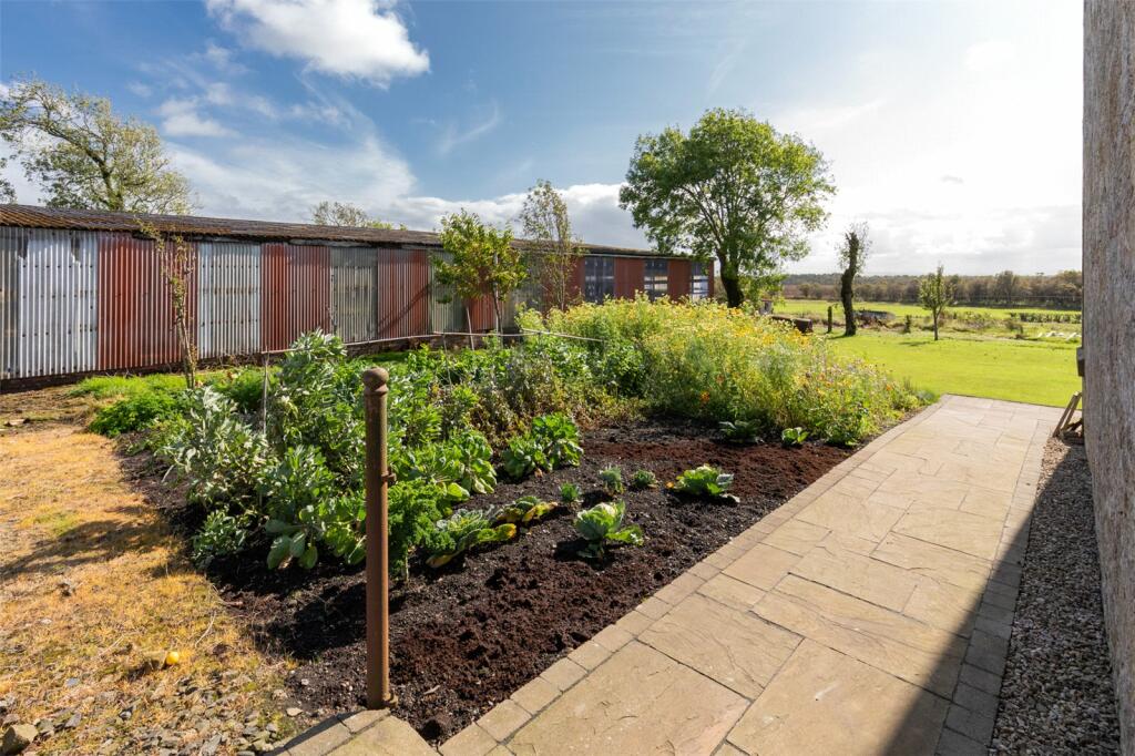 Veg Garden