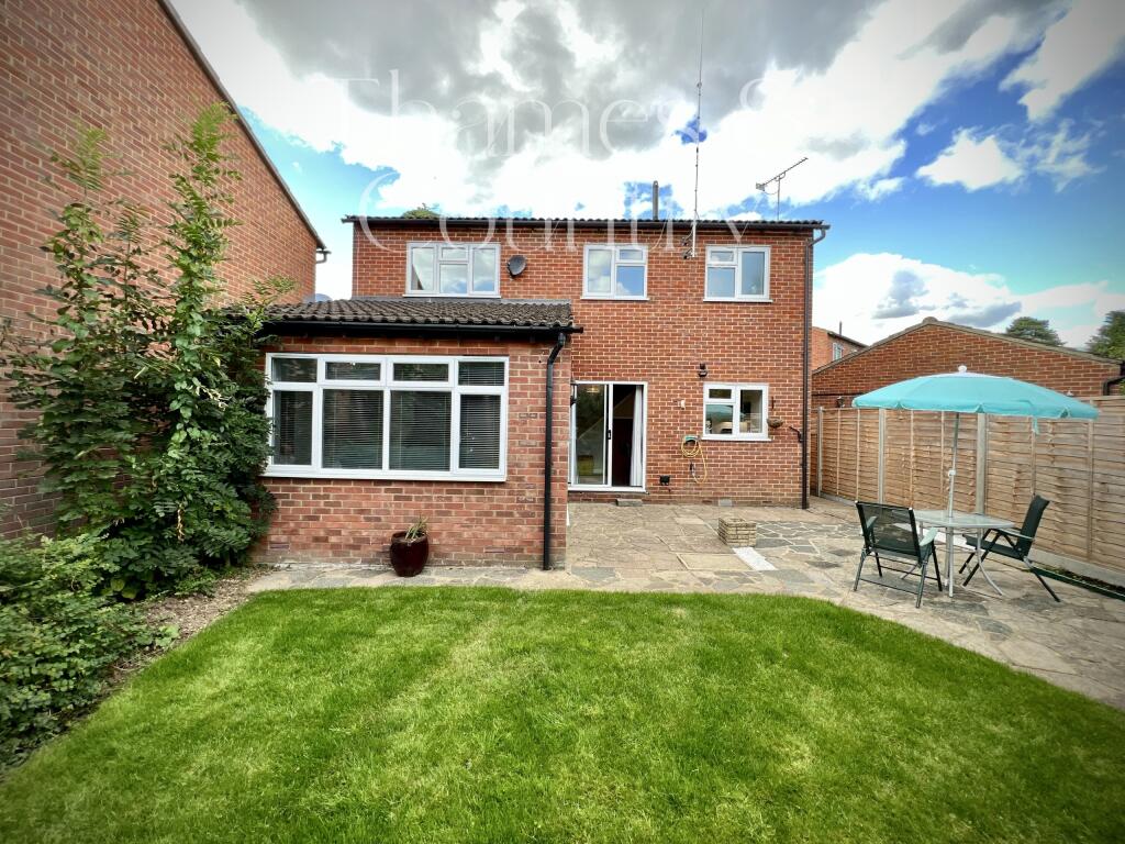 Back Garden