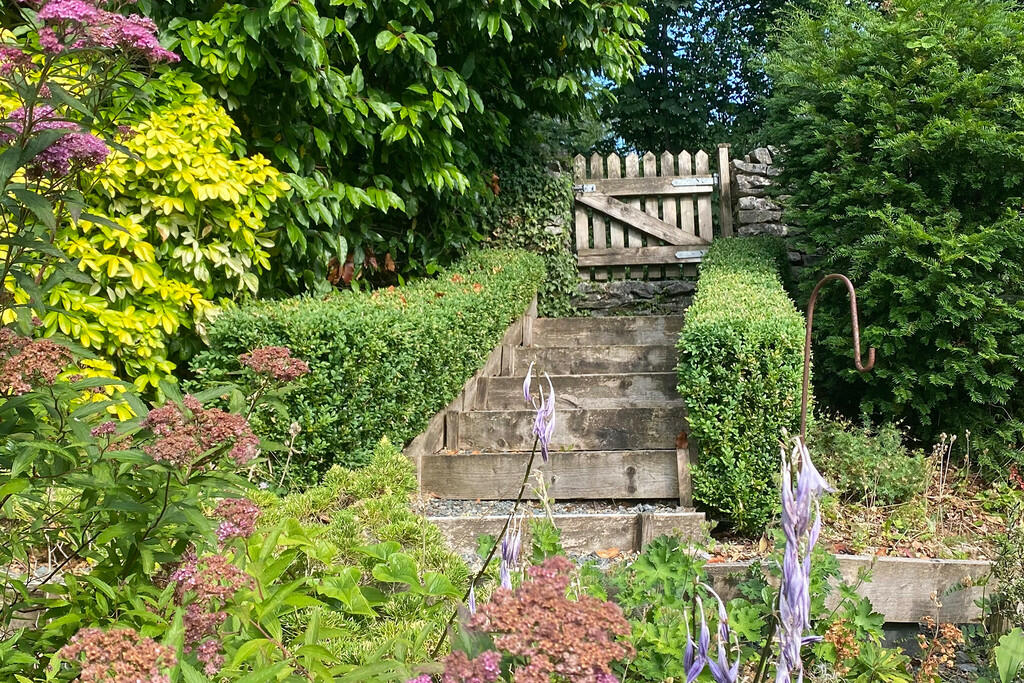 Garden in summer ...