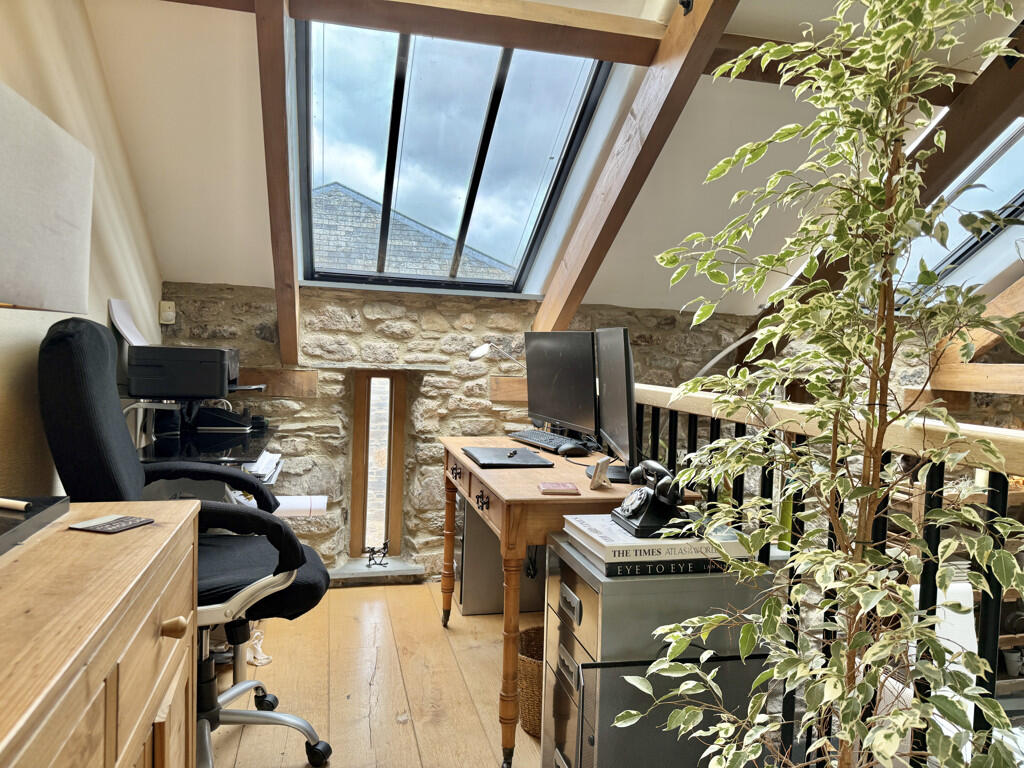 Study Area