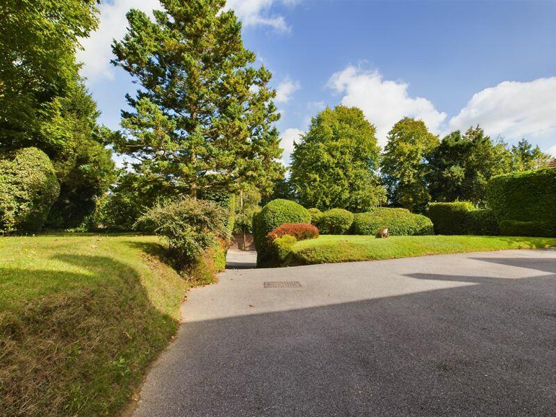 Front Driveway