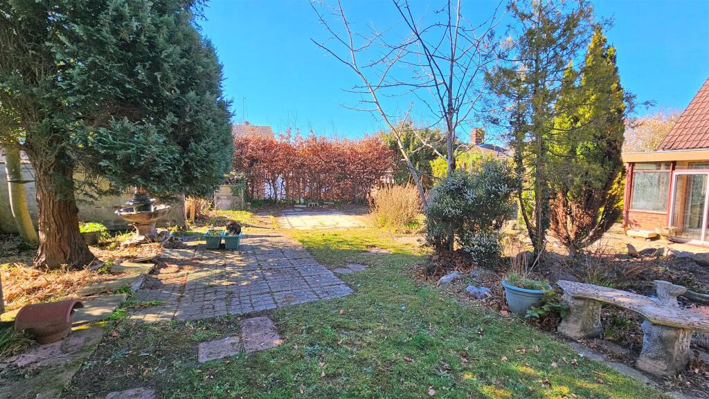 Back Garden