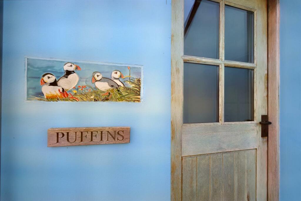Puffins