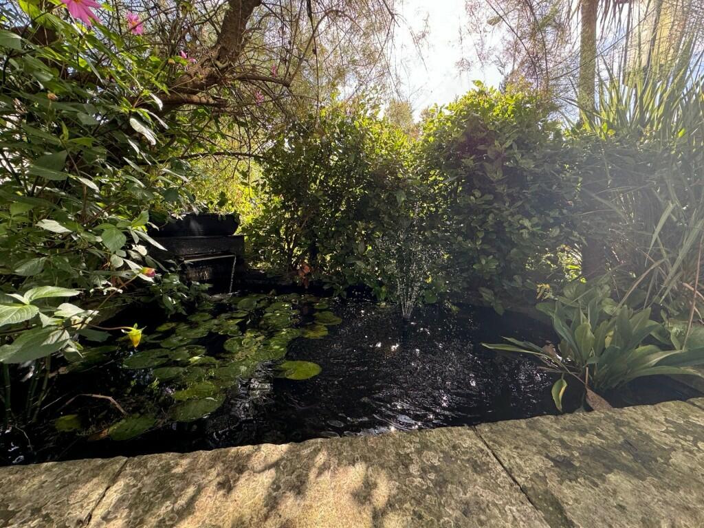 Water Feature
