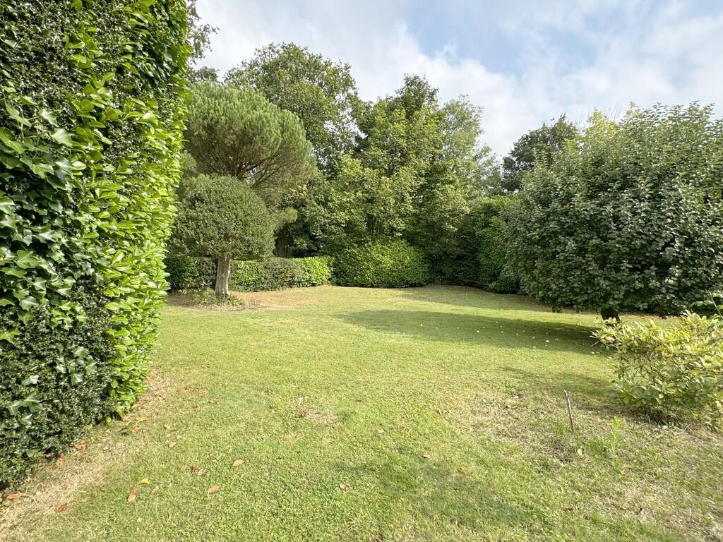rear garden 4