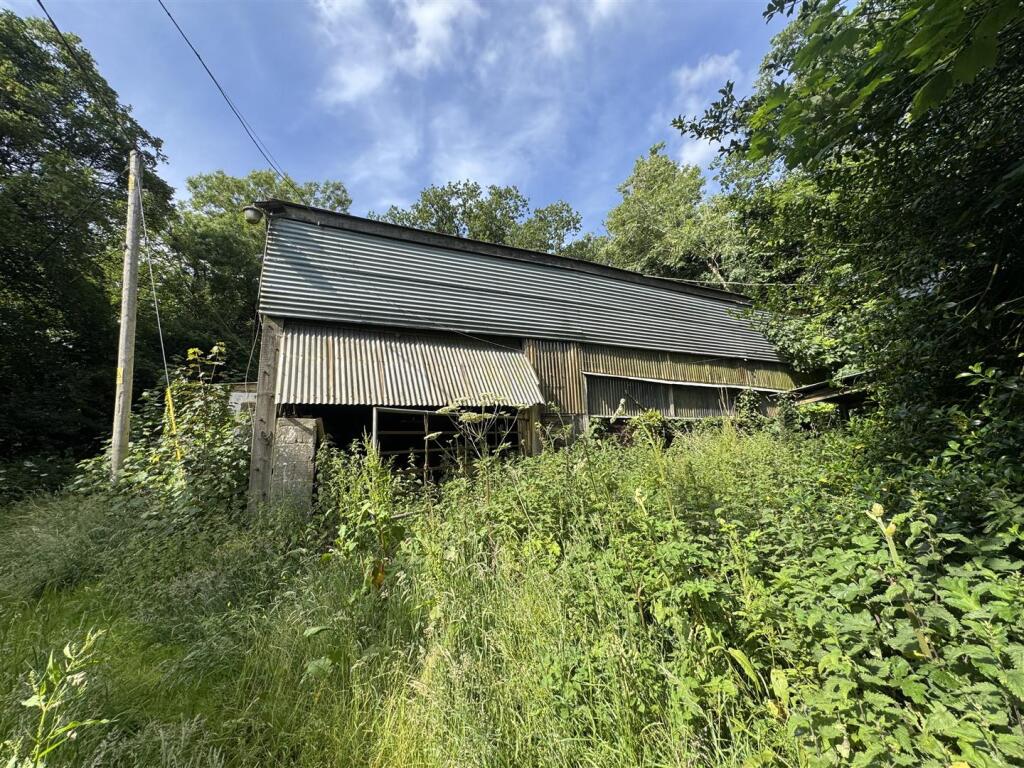 Sycamore Down Farm