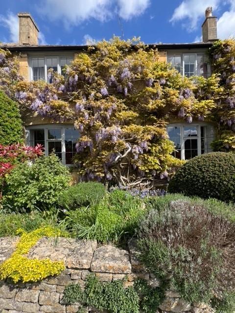 WISTRIA.jpg