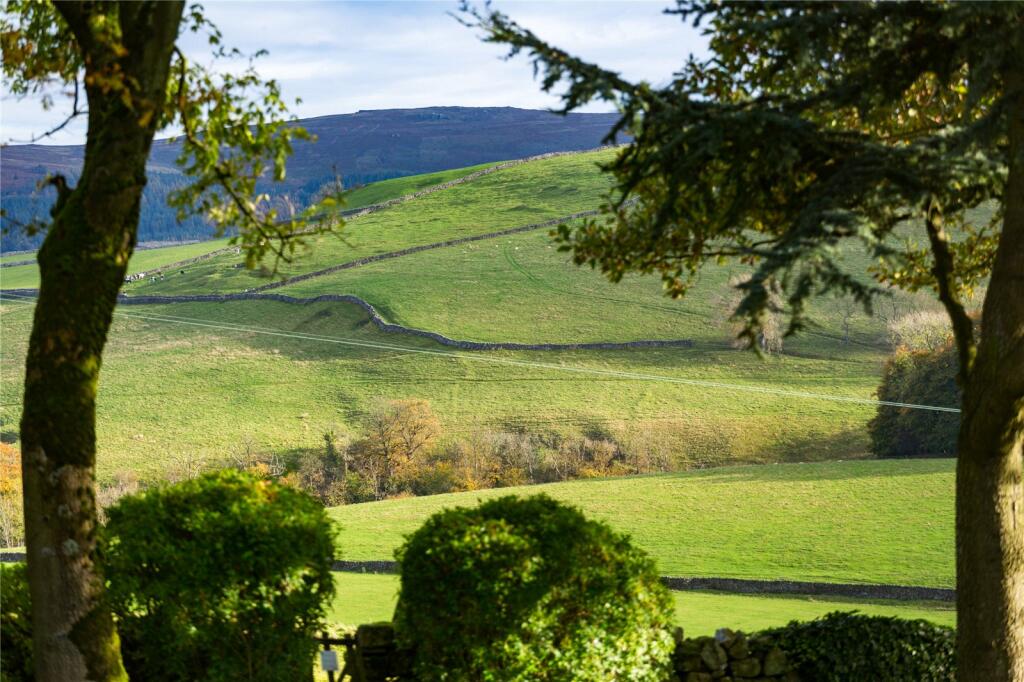 View From Garden