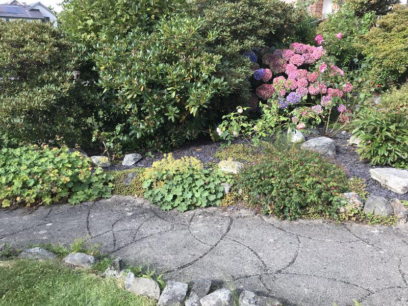 Photo 24